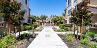 La Terraza Gallery 17