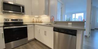 Red Oak at 409 Elm Street Gallery 28