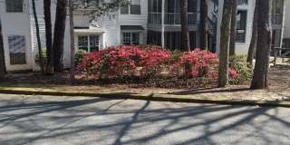 The Hedges Gallery 6