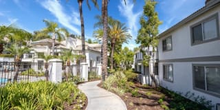 Las Palmas Gallery 22