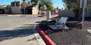 3107 ISLA VERDE Circle Gallery 21