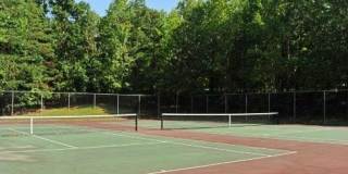 8097 WINDING WAY Court Gallery 42