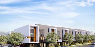New Sky Highland Gallery 16