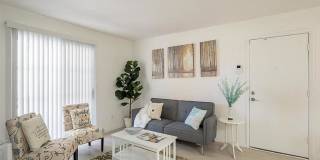Monaco 31 Gallery 12