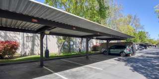 The Falls at Arden Gallery 44