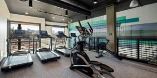 The Signal Gallery 30