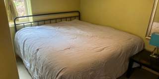 OLD TOWN GEM Gallery 7