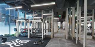 Crossing DC Gallery 18