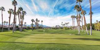 38061 Crocus Lane Gallery 33