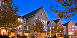 Bell Ashburn Farms Gallery 24