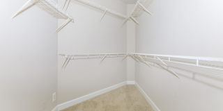 The Rothbury Gallery 87