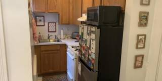 115 Norway St. Gallery 5