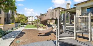 Hollister Village Gallery 29