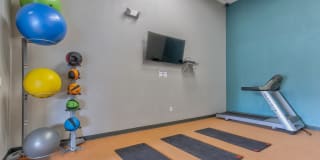 Cypress Run Gallery 7