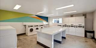 Tierra Palms Gallery 54