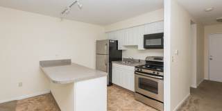 Chestnut Hill North Apartments Chestnut Hill North Apartments Gallery 12