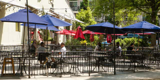 Windsor at Midtown Gallery 56