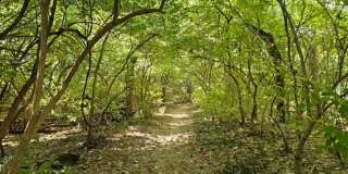 Riverbend Apartments Gallery 35