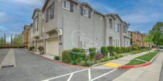 Upgraded Lincoln Crossing Oasis | Walking distance to MANY ammenities Gallery 3