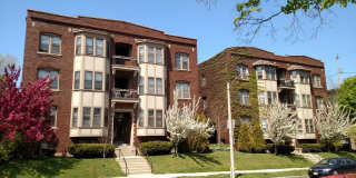 The Shamrock North Gallery 32