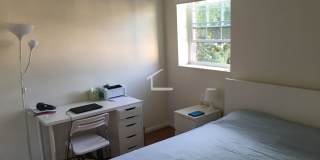 No Fee! Parking, Heat and Hot Water Included! Renovated, Sunny and Spacious!  Cat Friendly! Prime Location! Gallery 6