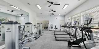 The Grove at Greenleaf Gallery 22