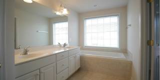 8250 RED CARNATION Court Gallery 14