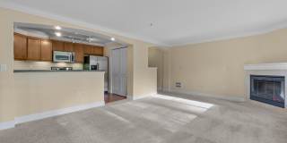 VILLAGGIO ON YARROW BAY Gallery 14