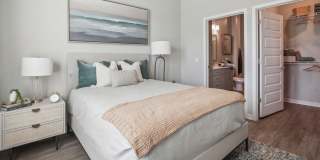 RISE Sereno Gallery 30