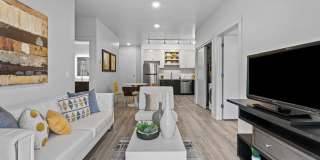 The Eliana Apartments Gallery 2