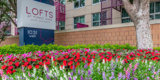 Lofts at Forest Park Gallery 3