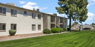 Palm Crest at Station 40 Gallery 18