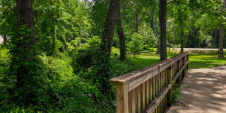 Franklin Park at Greenbelt Station Gallery 4