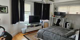 Beautiful 5 bed penthouse unit in lower Allston available 9/1/26 Gallery 12