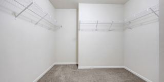 3436 Birch Lane Gallery 23