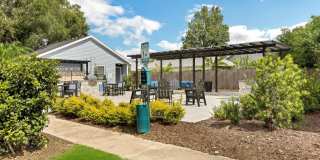 The Papillion Gallery 10