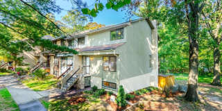 2246 WHITE CORNUS Lane Gallery 1