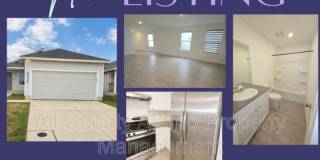 9258 Honey Mesquite Gallery 1