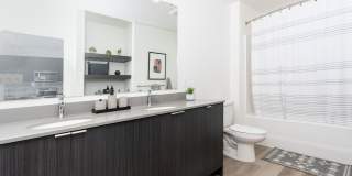 Alexan Main Street Gallery 32