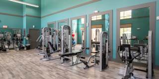 Millenia 700 Apartments Gallery 13