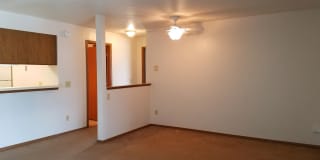 Prairie Tree Gallery 2