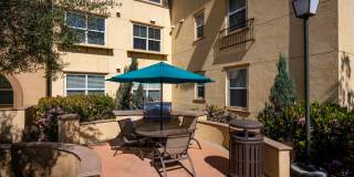 Paseos At Magnolia Luxury Apartment Homes Gallery 50