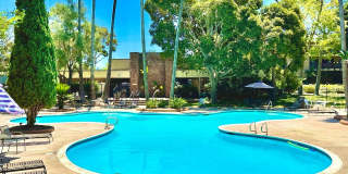 FOR RENT - Cozy Studio 432 SF 2nd Floor Condo, Resort-Style Community In Sought-After Fashion Valley Gallery 3