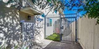 2026 Shenandoah St Gallery 3