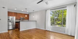 238 Walker Street Gallery 10