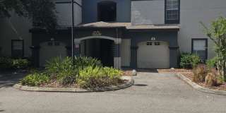 One bedroom one bath apartment close to USF Gallery 1