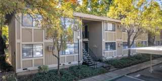 Sierra Sunset Village Gallery 1