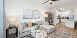Olea Beach Haven Gallery 7