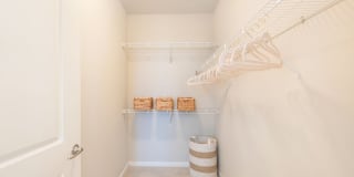 Element Carolina Bay Element Carolina Bay Gallery 33