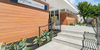 Arrive Laurie Lane Gallery 20